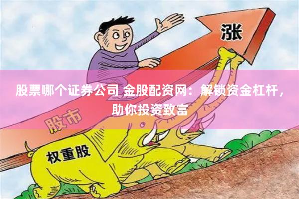 股票哪个证券公司 金股配资网：解锁资金杠杆，助你投资致富